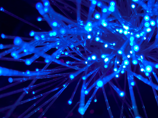 63c81434010aa451f5dec62b